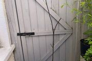 garden plants