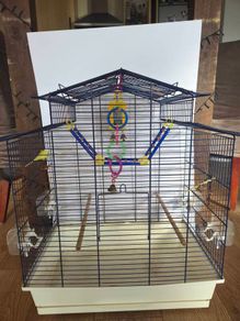 Parrot cage for sale great condition