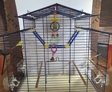 Parrot cage for sale great condition