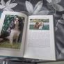 4 book lot on the Cavalier King Charles Spaniels Image 6