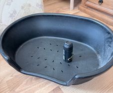 dog bed