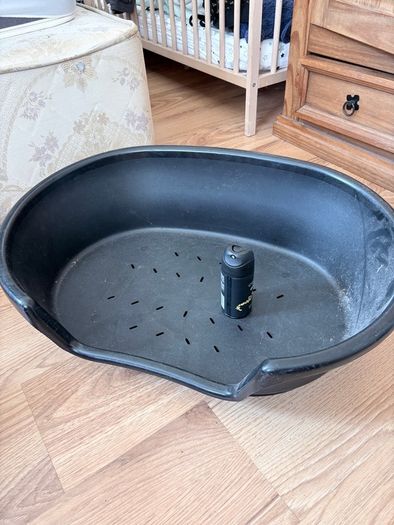 dog bed