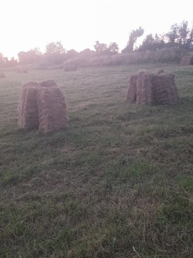 Square bales