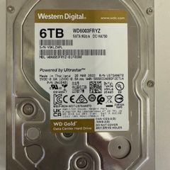 6TB GOLD western digital smart test included