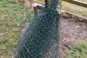 fencing