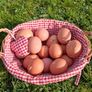 Free range eggs Image 2