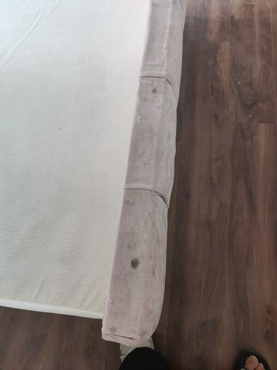 Pink plush velvet double bed