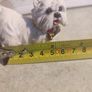 Dog Figure Ornament Figurine West Highland Terrier Figure Statue Image 4