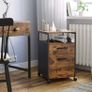 2 Drawer Filing Cabinet Mobile Office Cabinet with Wheels Image 2