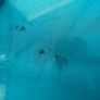 4 Man Tent Image 7