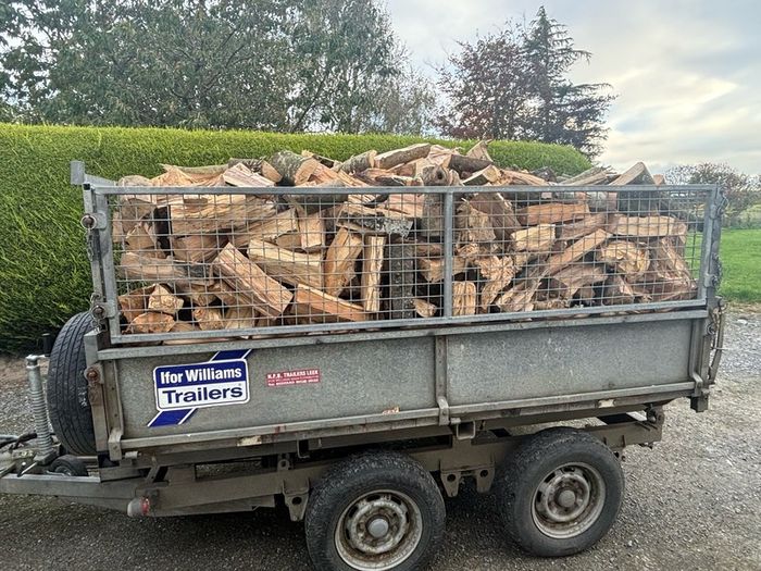Firewood logs