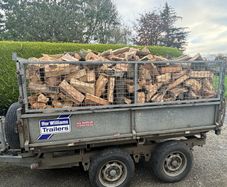 Firewood logs