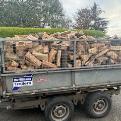 Firewood logs