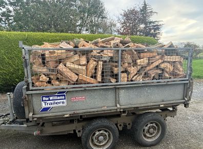 Firewood logs