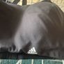 Adidas High Support sports padded black bra size UK40DD EU90E Free post Image 3