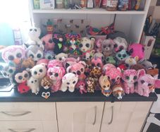 Huge TY Plushie Collection