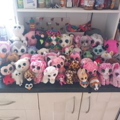 Huge TY Plushie Collection