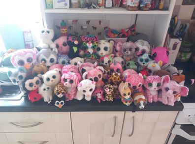 Huge TY Plushie Collection