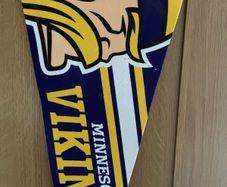 Minnesota Vikings Premium Logo Pennant