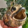 Vintage 1970s hand-finished ceramic frog sponge scrubby holder, signed GJ, maker unknown. Image 3