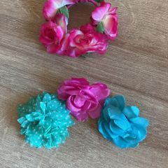 Pony holder & clips brand new never used!