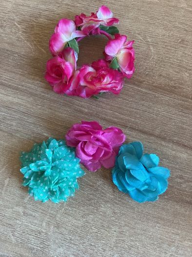 Pony holder & clips brand new never used!