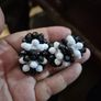 Vintage Black and White Earrings Image 2