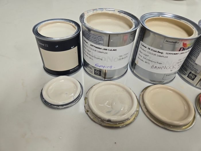 Paint Samples