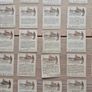 33 Vintage Cigarette Cards - Railway Centenary 1825-1925.  Hill Tobacco. Trains, Locomotives Image 8
