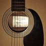USA Harmony Acoustic Image 2