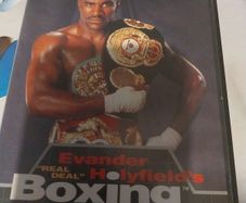 evader holy fields boxing