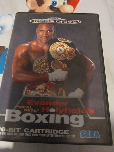 evader holy fields boxing