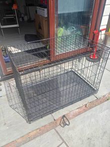 dog crate