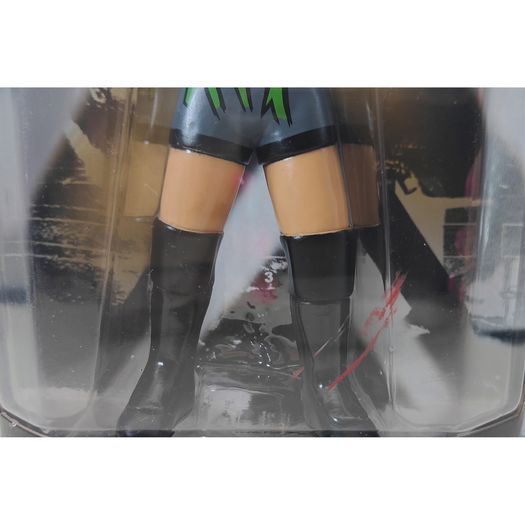 WWE Classic Superstars Series Action Figures