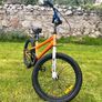 Royal baby freestyle bmx Image 6