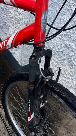 Bicycle