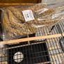 Birds cage Image 3