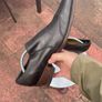 Mens brown leather shoes size 41 UK7.5 Image 5