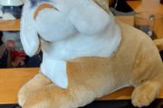 English  Bulldog Stuffed