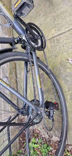 adult Bike