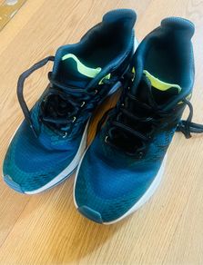 women trainers