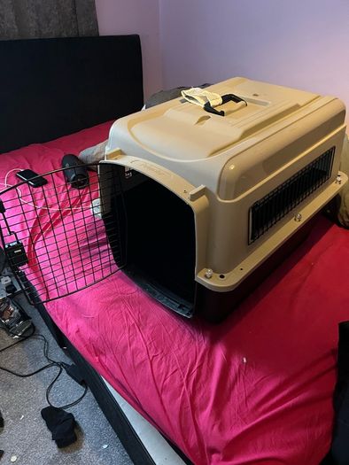 Iata Cat/small Dog Kennel + Accessories