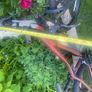 Giant Liv Bliss Bike Xs Image 9