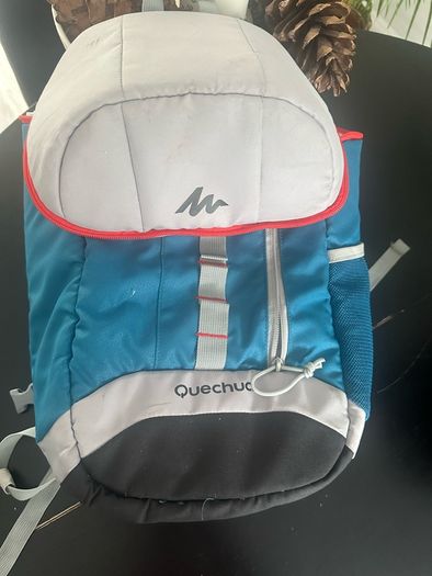 Backpack cooler bags