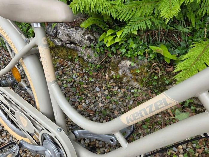 Dutch Style Ladies Bike