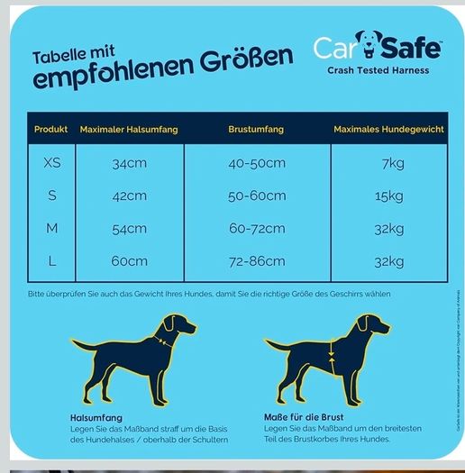 Car harness for dog