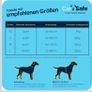 Car harness for dog Image 4