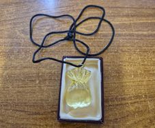Golden Pouch Necklace