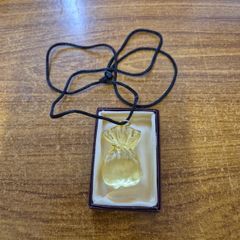 Golden Pouch Necklace