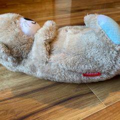 Fisher-Price Soothe 'n Snuggle Otter